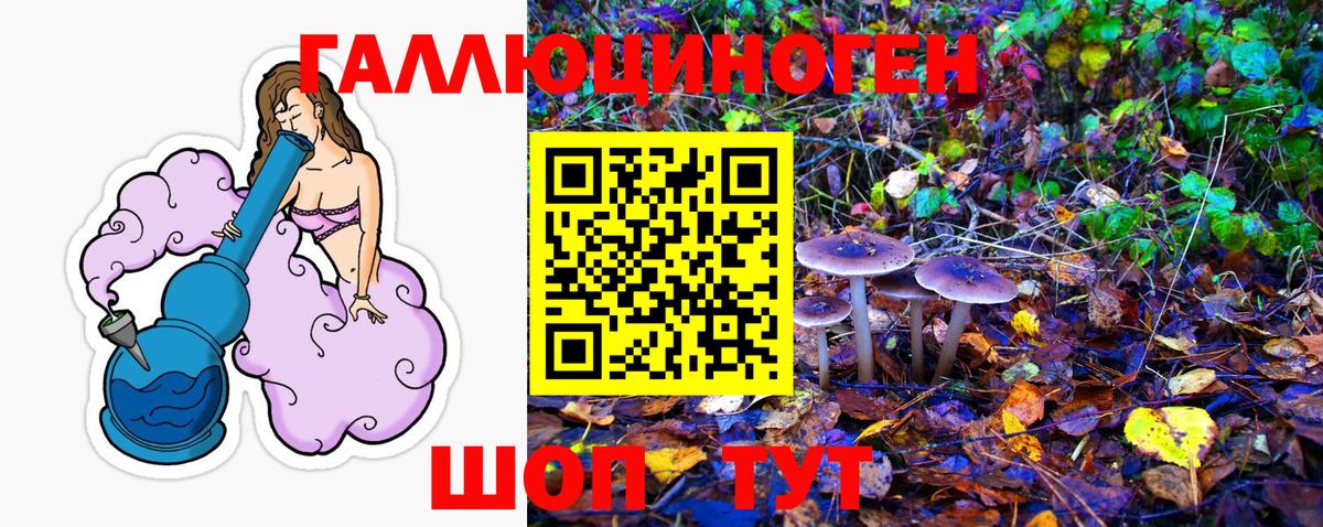 Псилоцибиновые грибы Psilocybine cubensis  Вход с VPN  Фрязино 